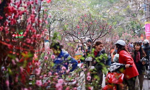 A colorful corner of a flower market in Hanoi
