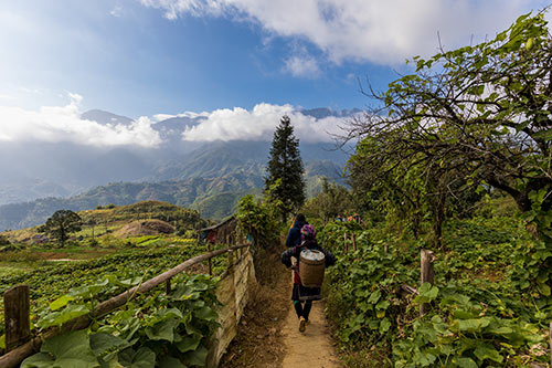 A stunning view on a trekking route in Sapa