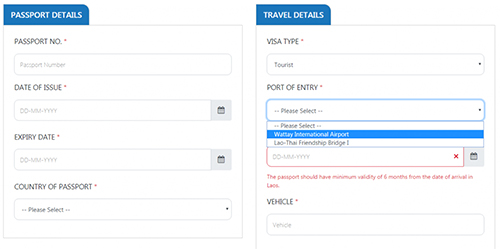 Filling details is a must-step while obtaining a Laos e-visa on the websites