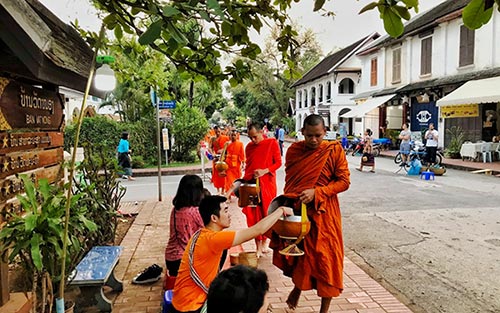 Get up early and take part in almsgiving activities every morning in Luang Prabang