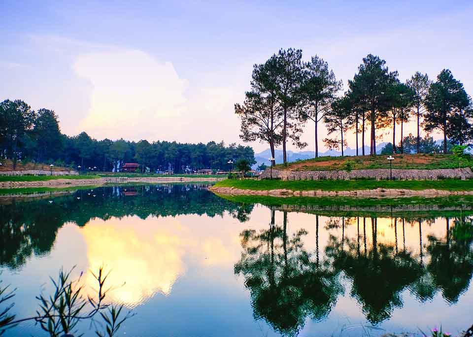 Visiting pine forest in Ban Ang Village, Moc Chau