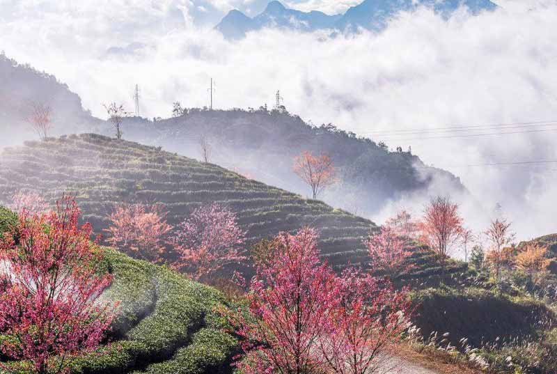 The stunning view in Sapa