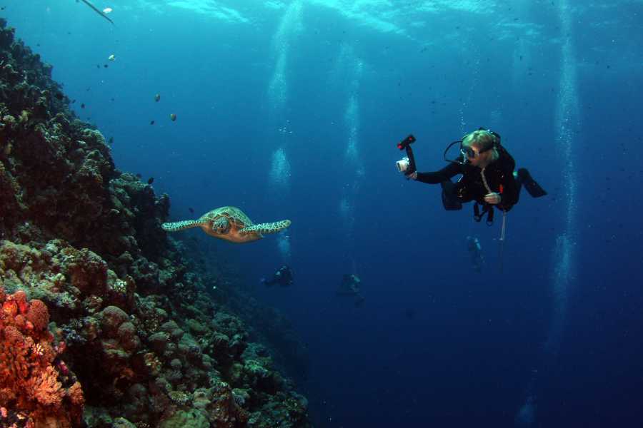 Best diving destination in vietnam