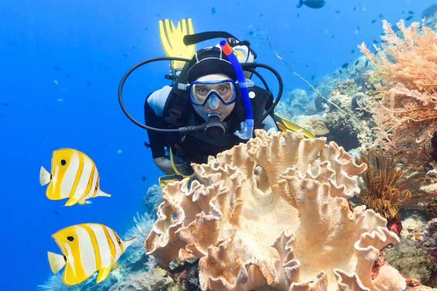 Phu Quoc – Easy and Fun Diving for Everyone