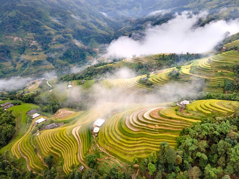 Best Time to Visit Ha Giang