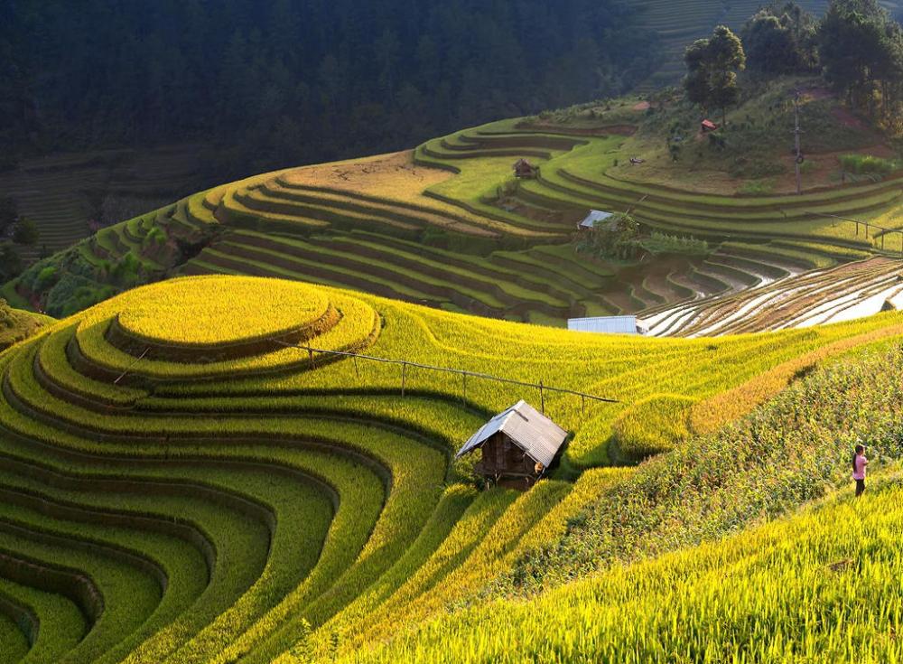 Must-See Stops Along the Ha Giang Loop
