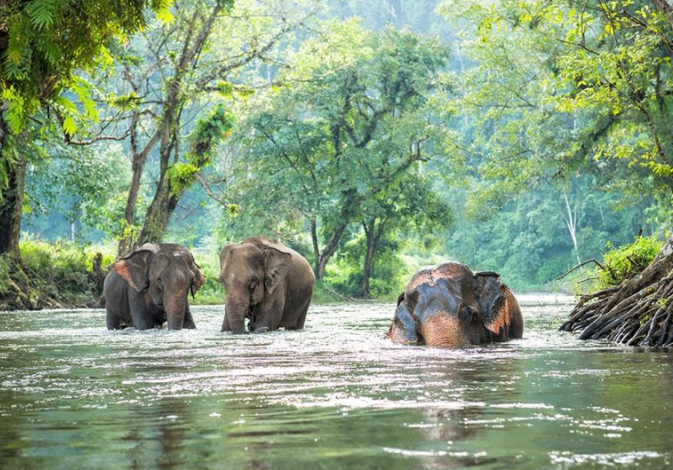 For Adventure Seekers - July to October (Lush Jungles, Waterfalls, and Fewer Crowds)