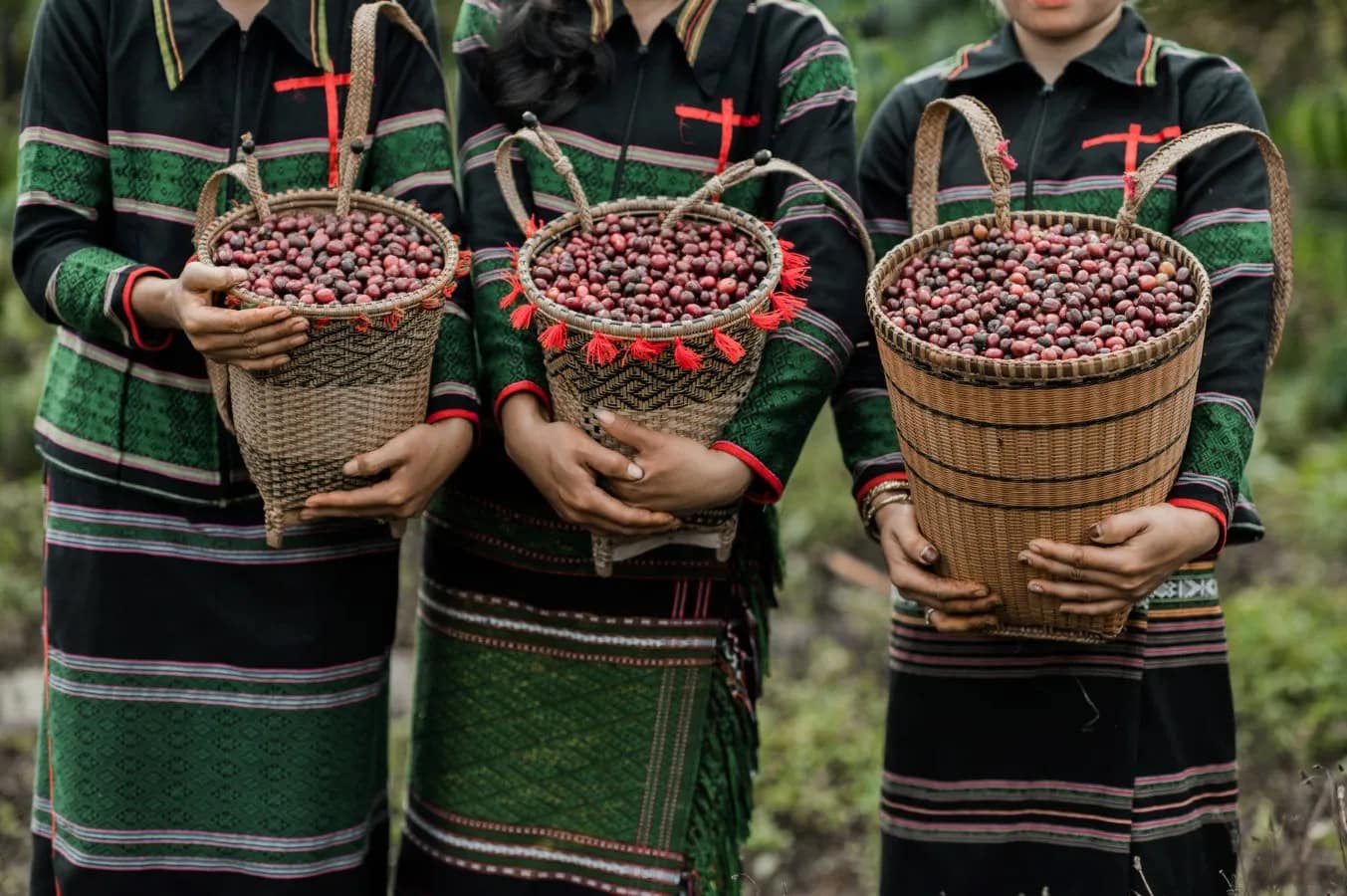 Organic Coffee and Spices