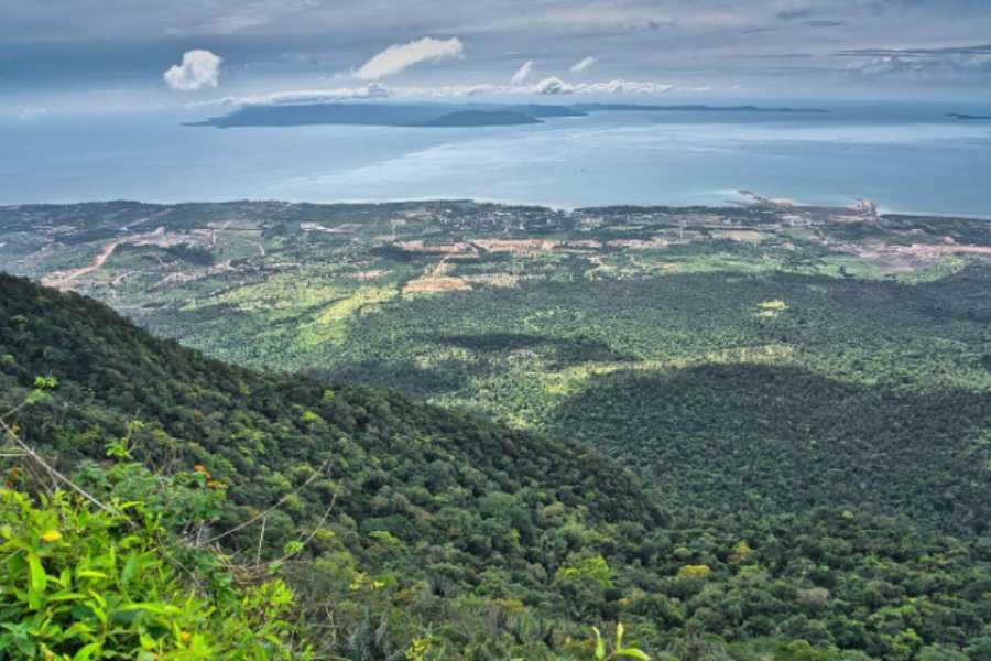 Best Time to Visit Bokor Mountain