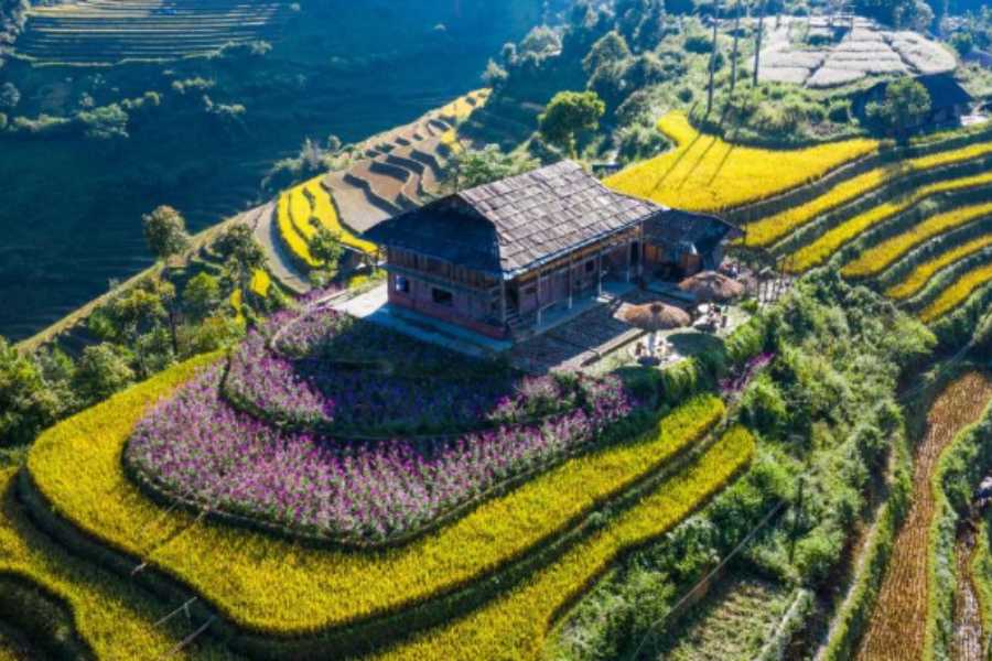 Best-Homestays-Mu-Cang-Chai