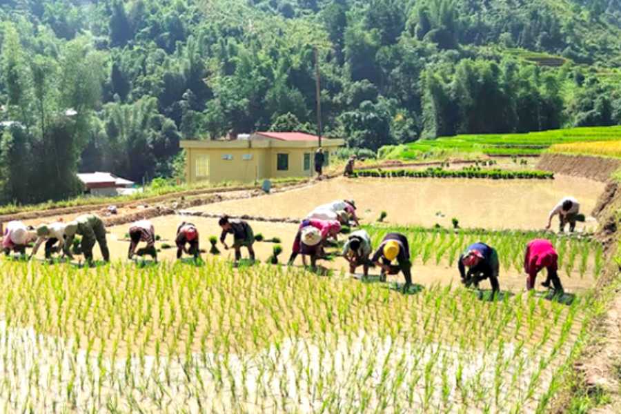 Best-Time-to-Visit-Mu-Cang-Chai