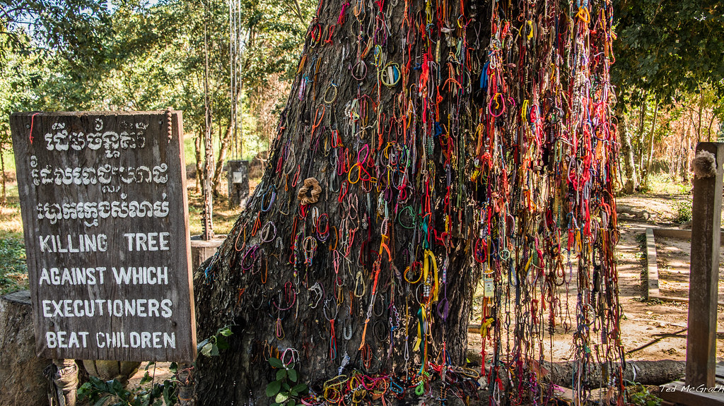 Killing tree in Cambodia