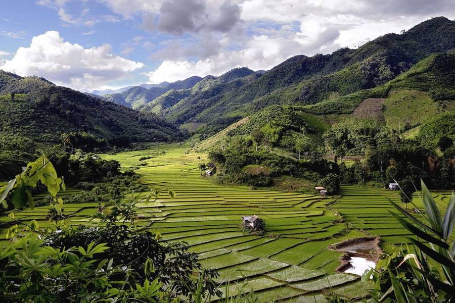 Ethnic Villages and Tea Plantations