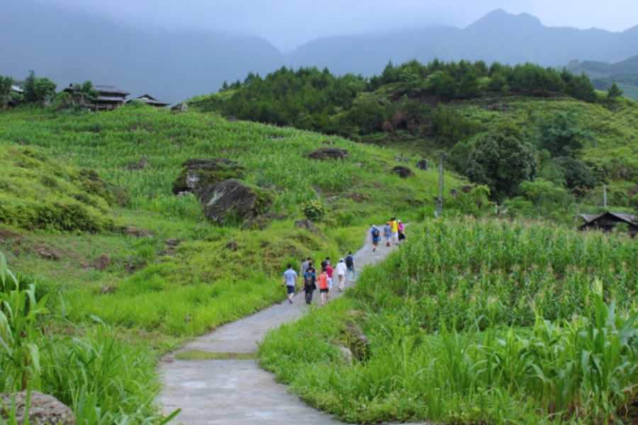 Du-Gia-Vietnam