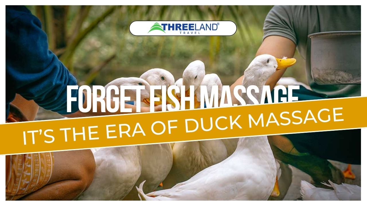 Forget Fish Massage, It’s the Era of Duck Massage