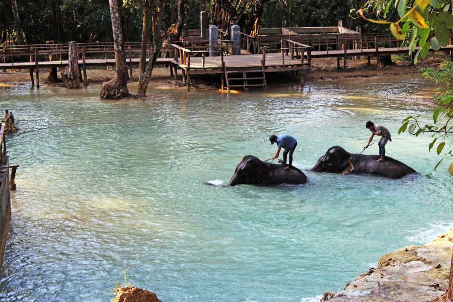 private laos tours