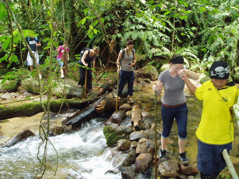 Jungle Treks and Wildlife Encounters