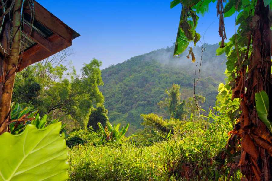 Nam Et-Phou Louey National Park