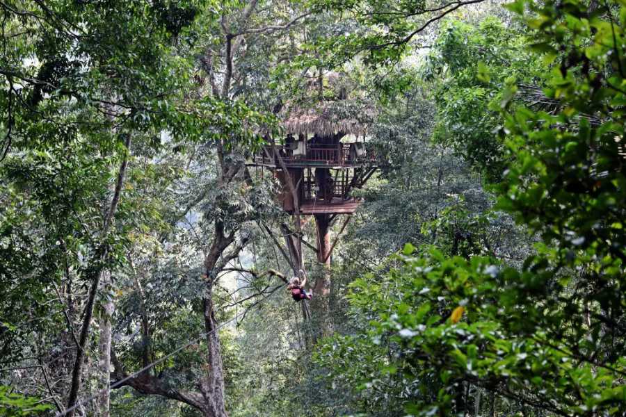 Nam Kan National Park - The Gibbon Experience