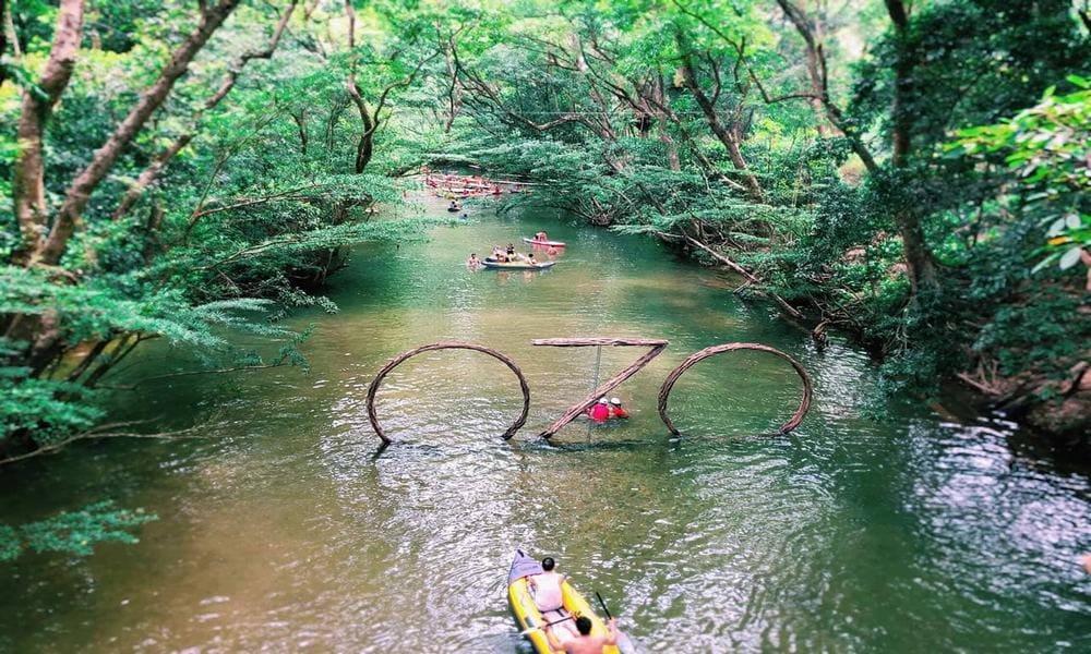 ozo treetop park