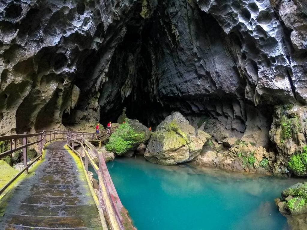 ozo park phong nha