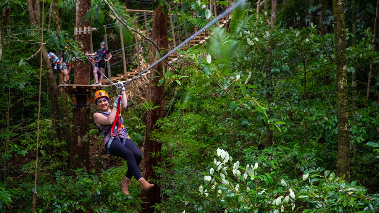 ozo treetop park