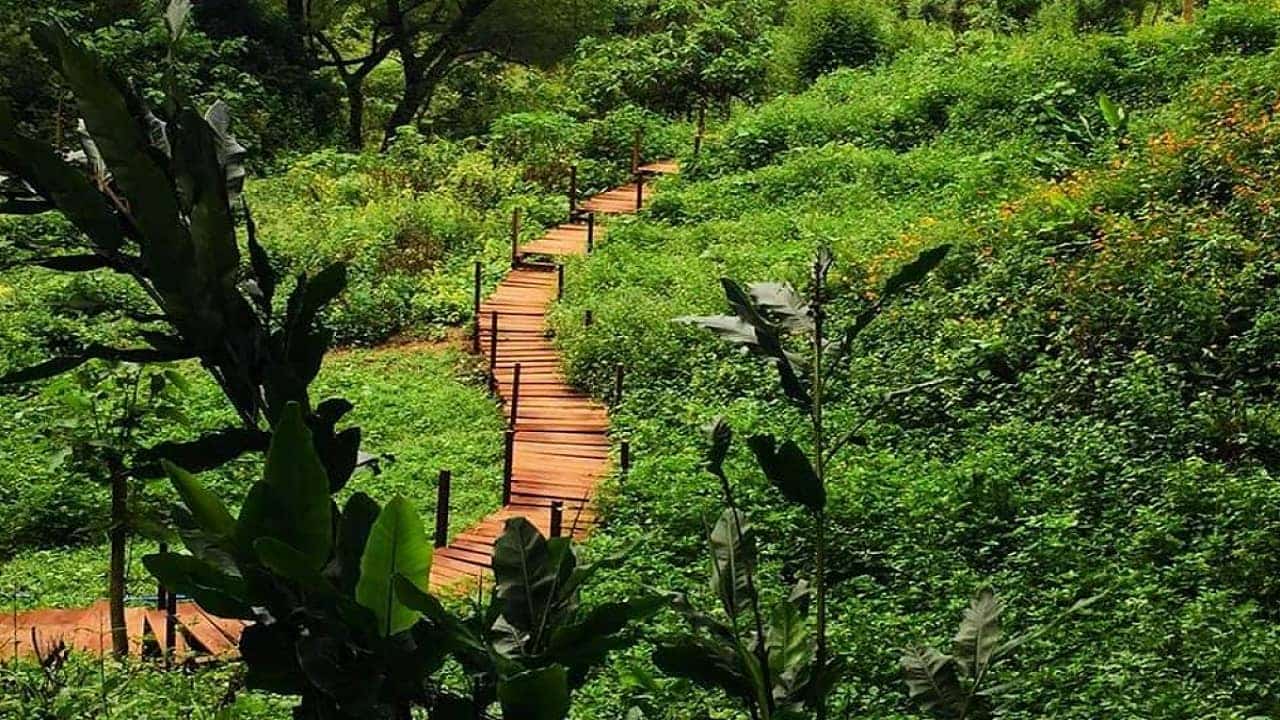 things to do in quảng bình
