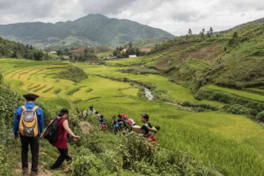 Sapa Tour