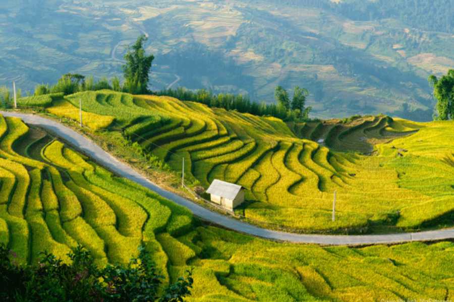 Scenic-Road-Trip-via-Nghia-Lo-or-Tu-Le