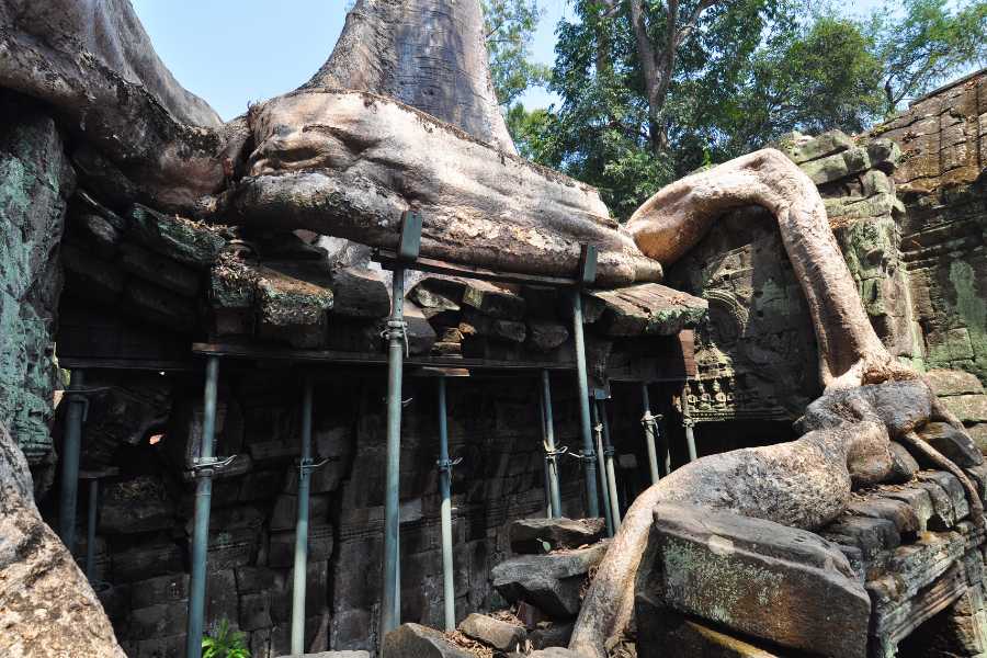 Ta Prohm-temple-in-Cambodia