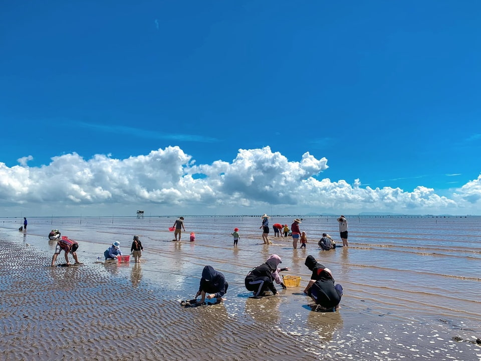 Best Mekong Delta tour