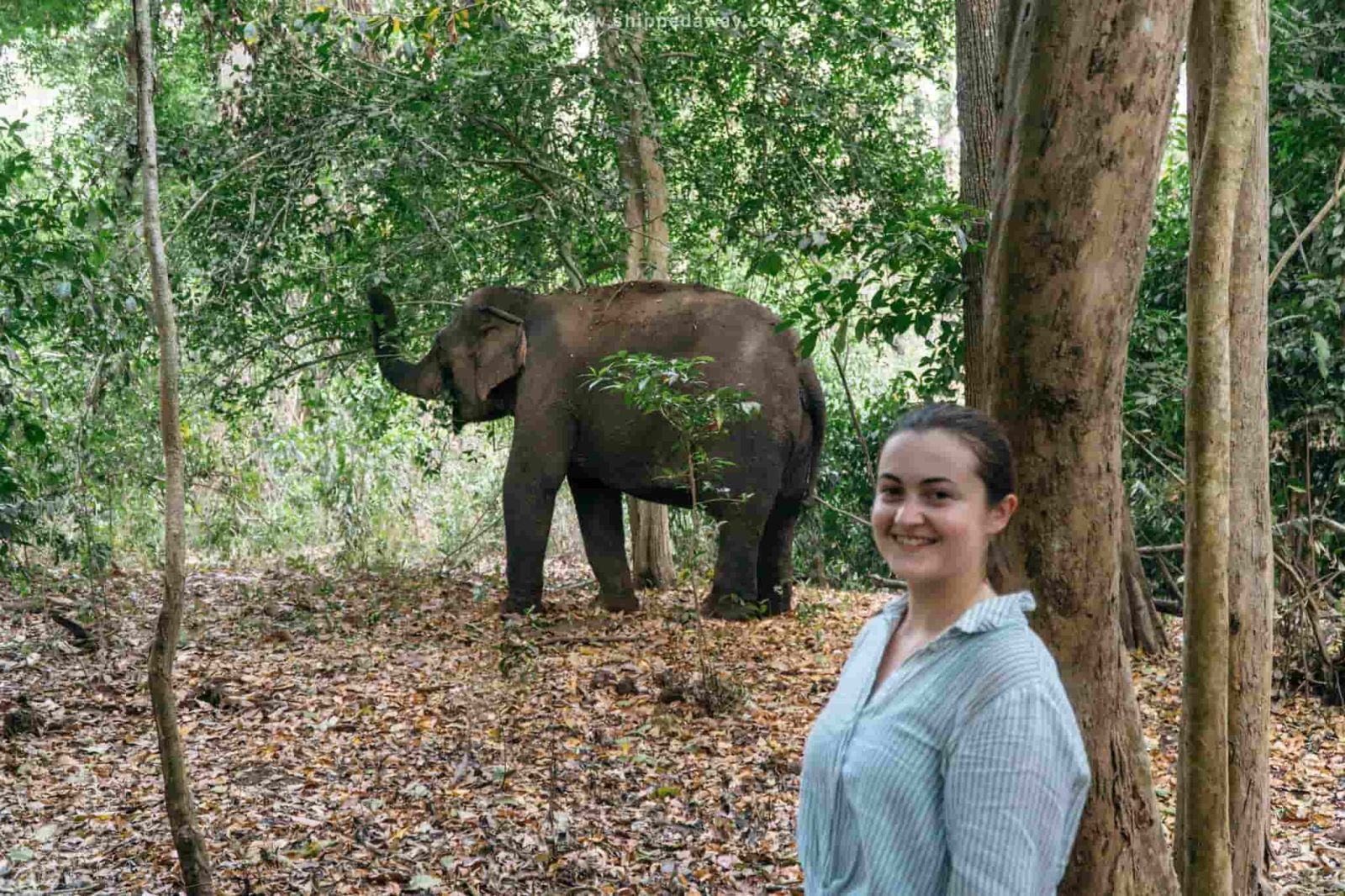 travelling vietnam and cambodia
