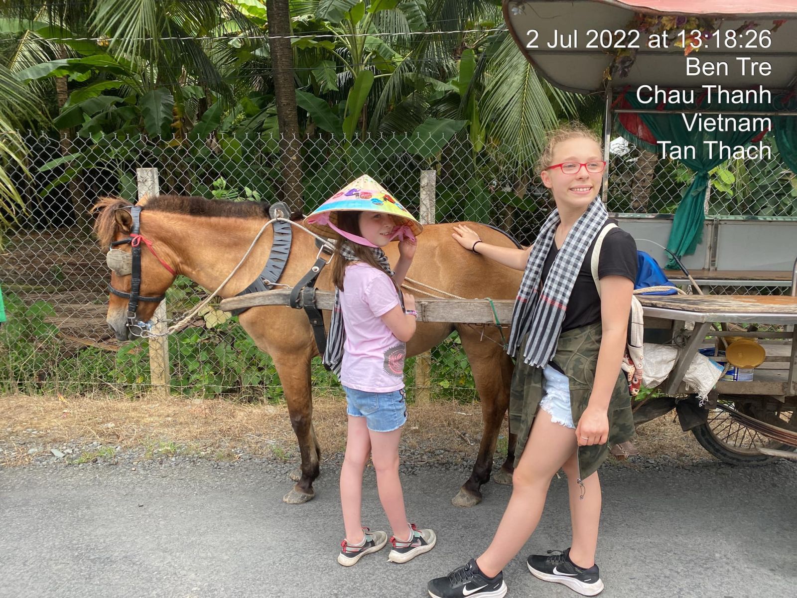 Horse cart in Mekong delta