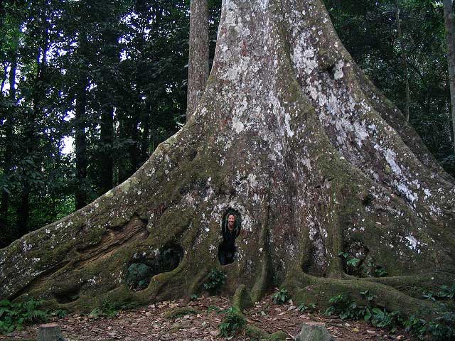 cuc phuong national park