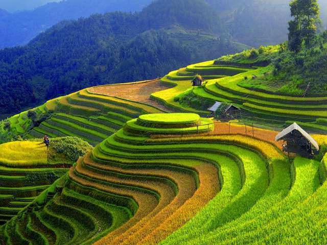 : A stunning landscape in the mountainous Vietnam