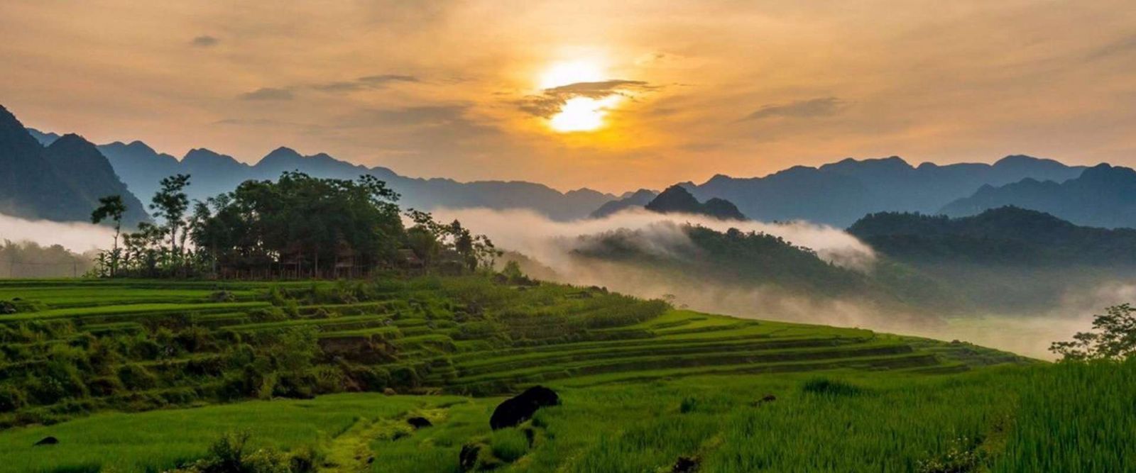 Pu Luong Nature reserve in Vietnam