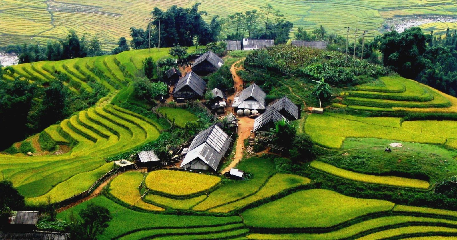 The rice fields in Ta Van Villaga