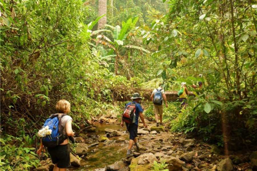 Trekking through the lush hills of Luang Namtha