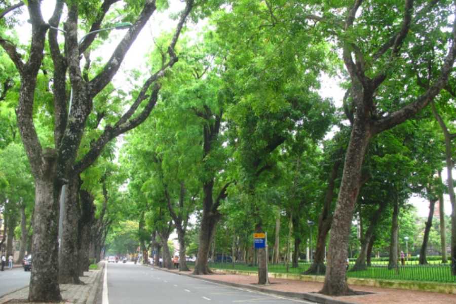 autumn in hanoi vietnam