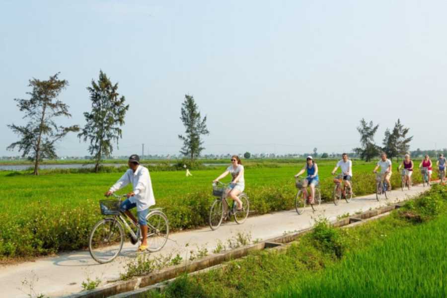scenic cycling tours