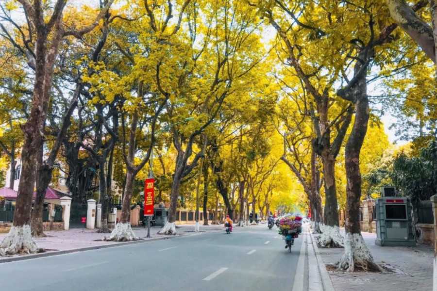 Hanoi Autumn View