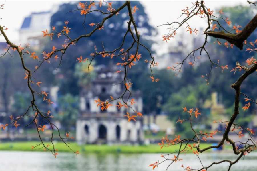 Vietnam in December