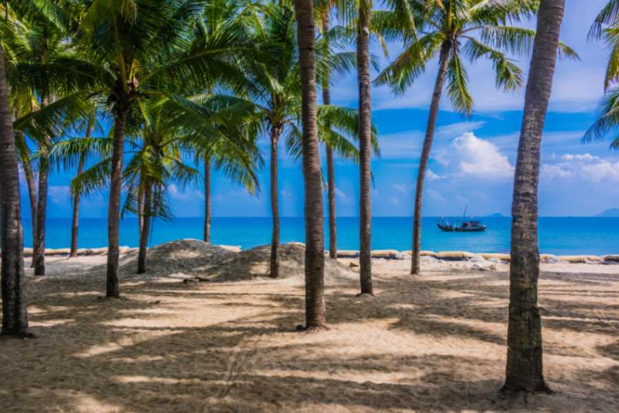 hoi an travel guide for backpackers