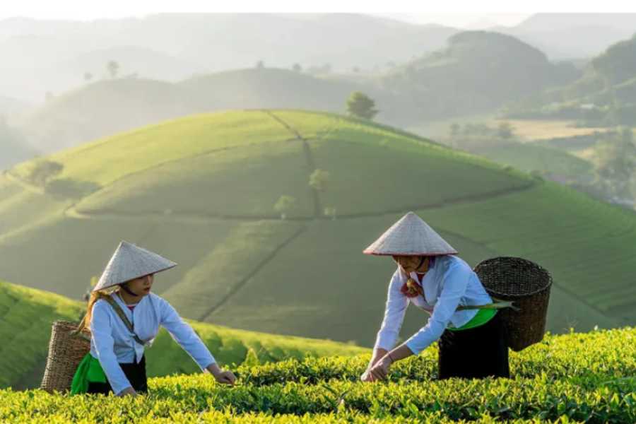 travel vietnam in april