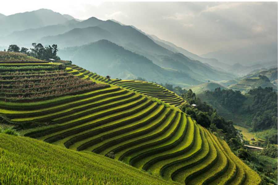 travel-to-laos