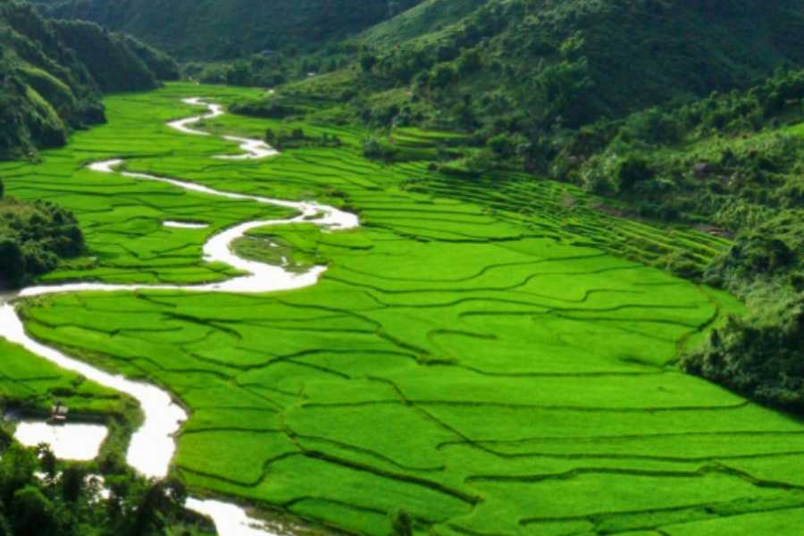 Why is February one of the top months to visit Laos