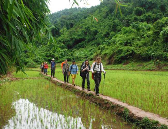 U.S. travelers expect in January