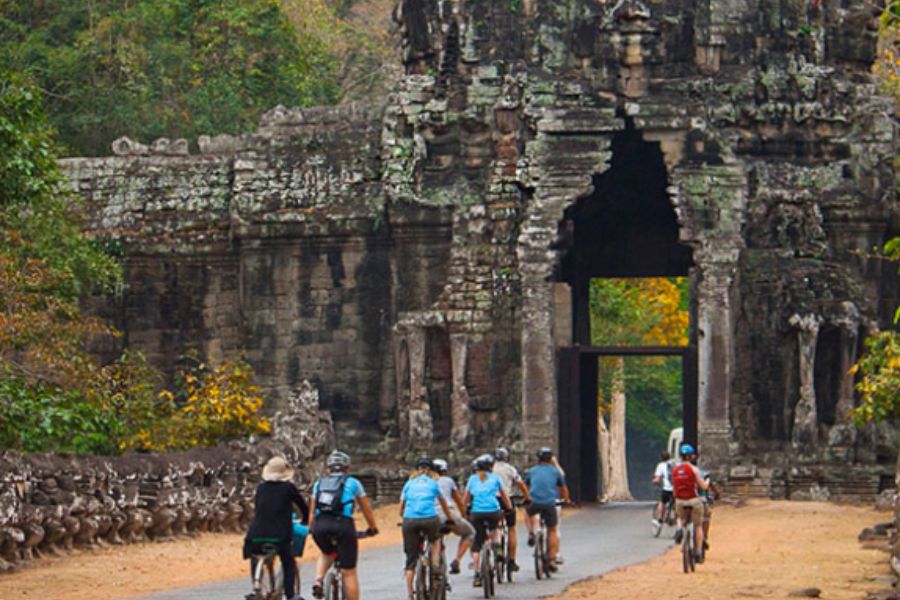 Why Choose Threeland Travel